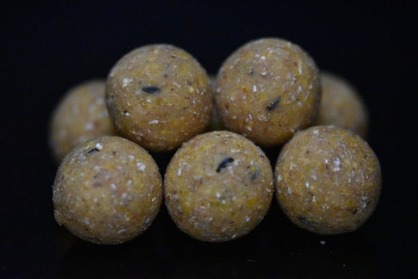 Coconilla Évolution - 20mm - 1Kg