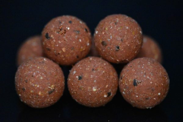 Redworm Évolution - 20mm - 1Kg